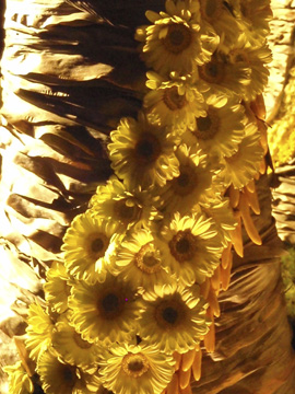Automne 2015 auto15 016