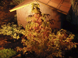 Automne 2015 auto15 019