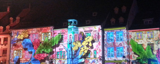 Automne 2015 mulh15 001 540