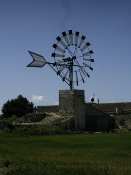 Summer 2009 palama55