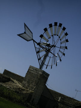 Summer 2009 palama56
