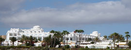 Summer 2011 canaries016