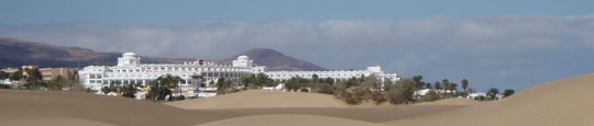 Summer 2011 canaries046 540